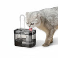 Fuente de agua para gatos con USB, filtro automático, recirculación