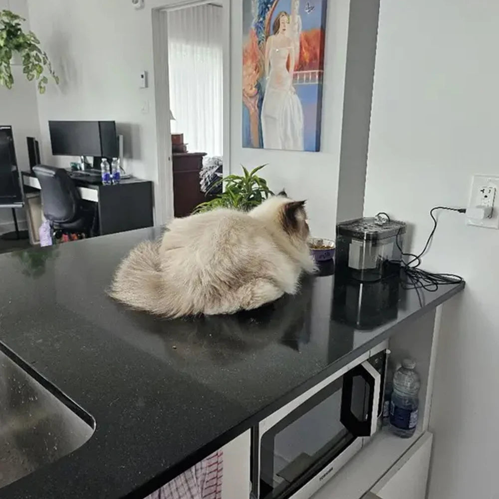 Fuente de agua para gatos con USB, filtro automático, recirculación